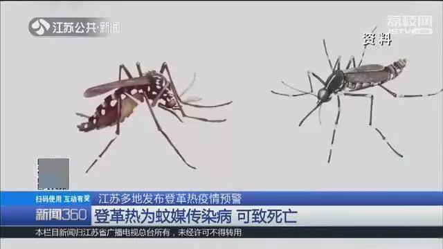 福建省最新疫情下的溫馨日常觀察