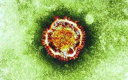 中國(guó)新冠病毒最新動(dòng)態(tài)科普文章，了解最新發(fā)展及防控措施