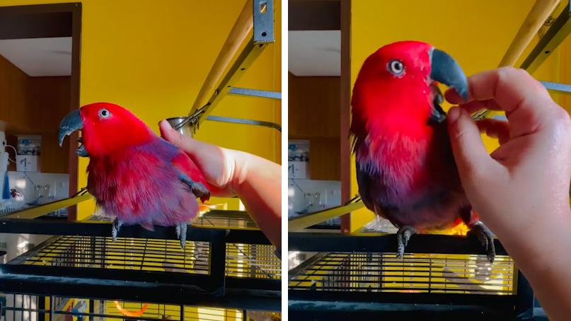 最新手機鈴聲推薦，讓你的手機瞬間升級并獨具個性魅力??