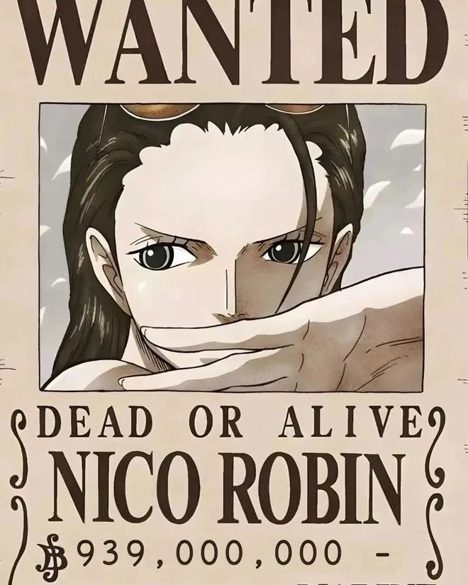 海賊王最新懸賞公告,海賊世界的風(fēng)云再起