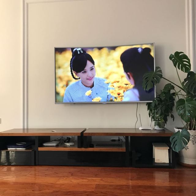 帶上你的65寸電視，開啟自然美景探索之旅！