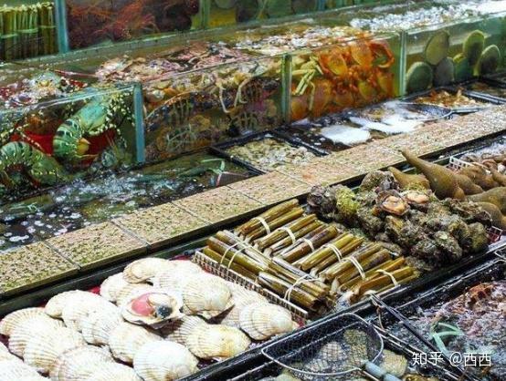 最新海鮮池主管招聘，探索自然美景，尋找內(nèi)心寧靜與平和的奇幻之旅