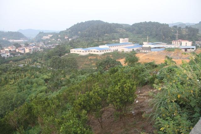 吉首乾州樓盤最新售價,城市變遷中的居住選擇,成長與你的理想家園