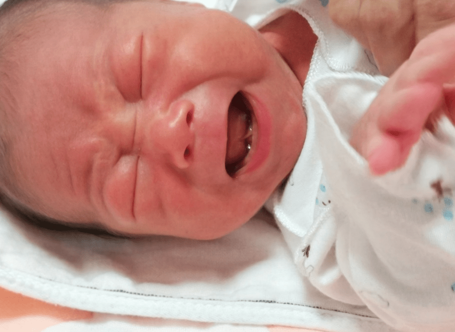 最新奶痧現象深度解析與觀點闡述