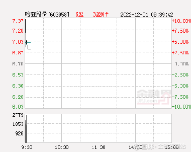 哈森股份股票投資潛力與前景展望分析