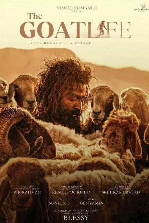 紅羊電影的溫馨日常風采