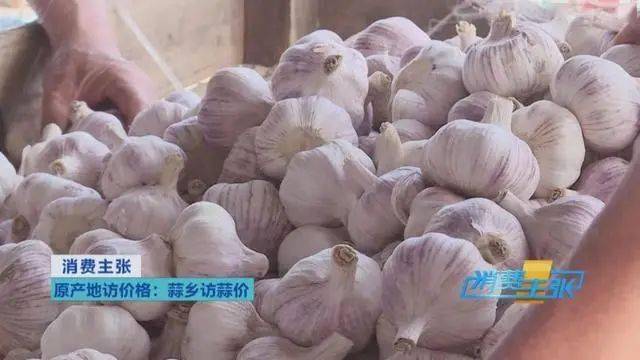 邳州大蒜最新價格揭秘,小巷深處的味蕾驚喜