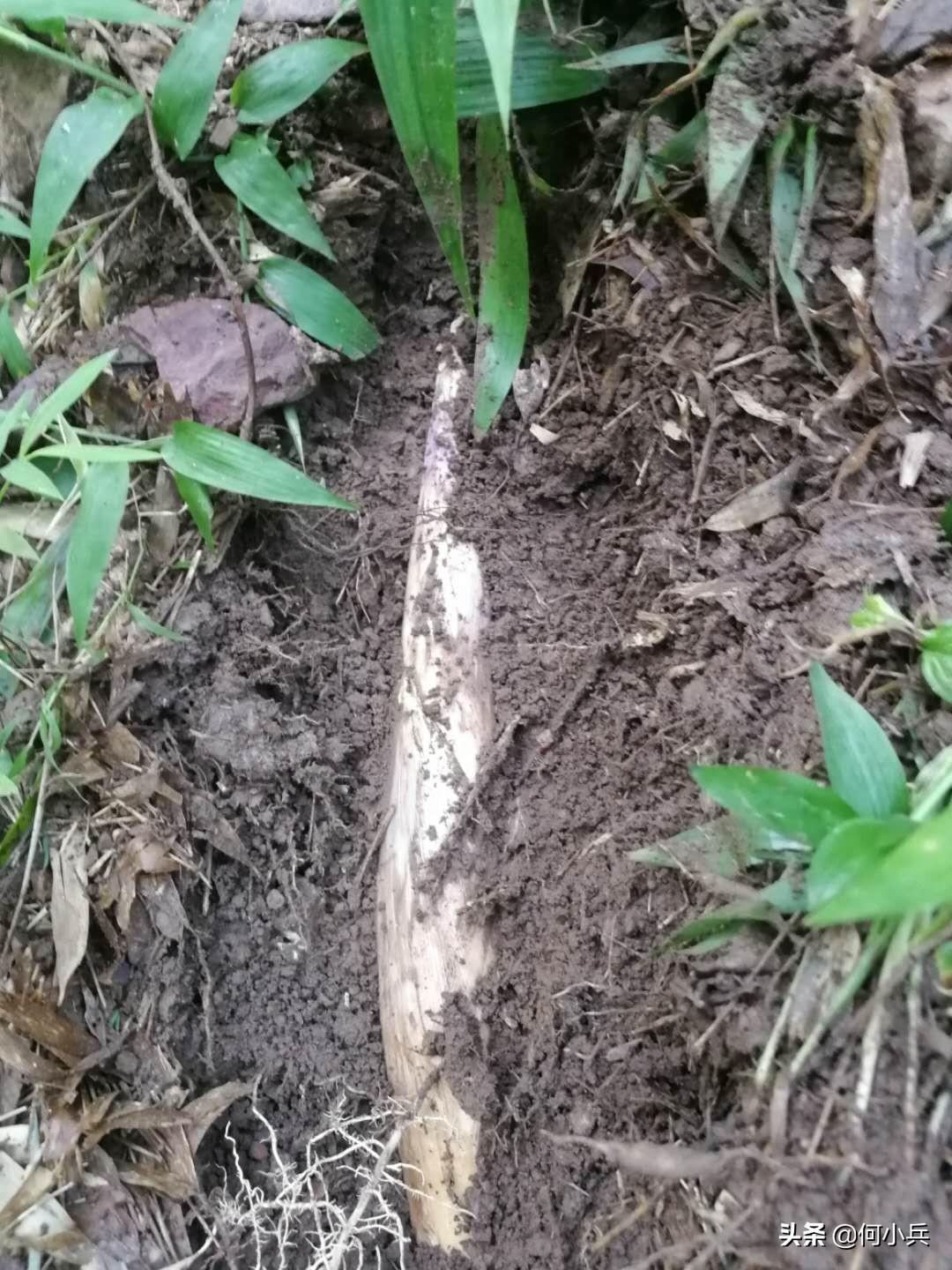 宜興餐飲最新職位招聘信息速遞