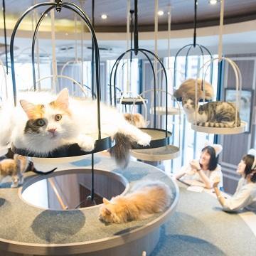 日本最新疫情動態與探索自然美景之旅