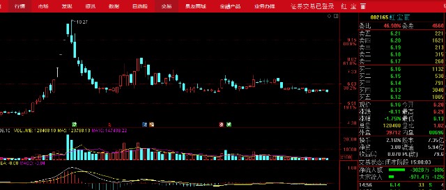 股票紅寶麗,深度探究其魅力與價值