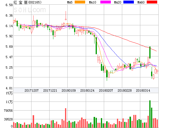 股票紅寶麗,深度探究其魅力與價值