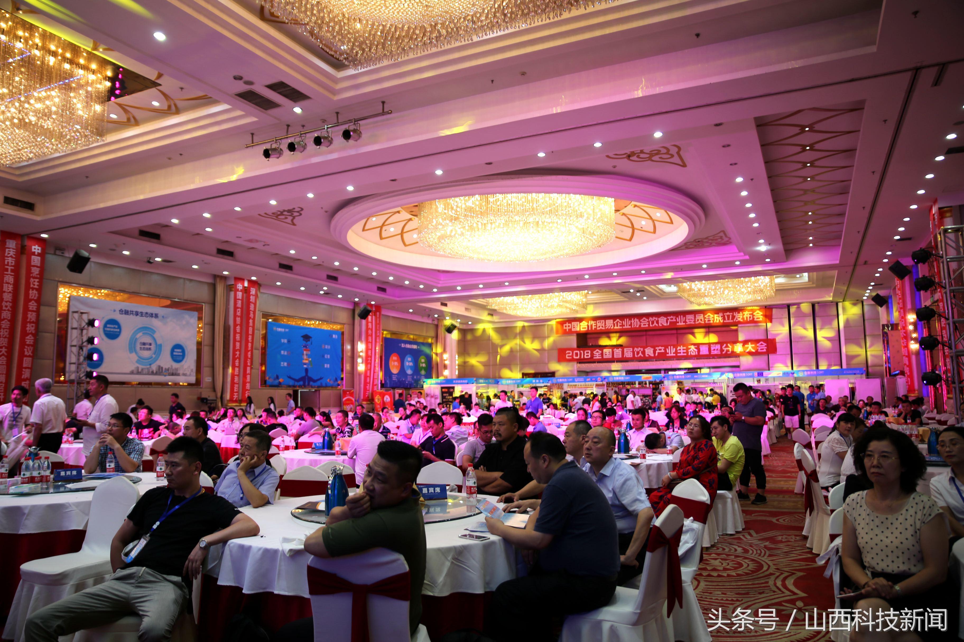 最新飲食趨勢，健康飲食入門與進(jìn)階指南全解析