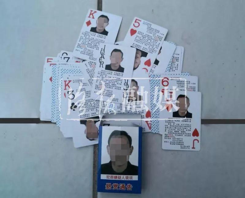 欒川租房信息更新，科技引領智能租房新時代的探索