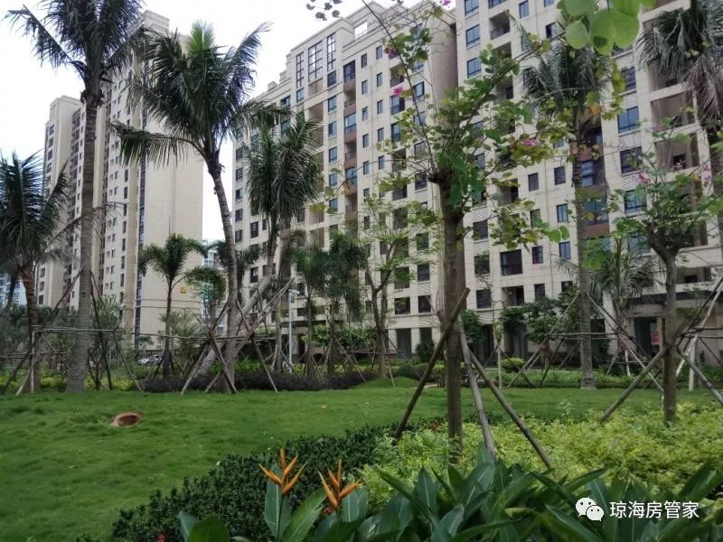 銀海御湖引領科技未來,最新資訊揭示重塑生活的力量