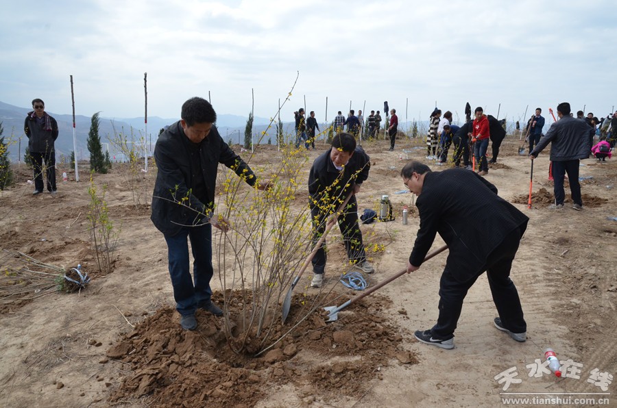 天水植樹指南，任務(wù)完成與技能學(xué)習(xí)攻略