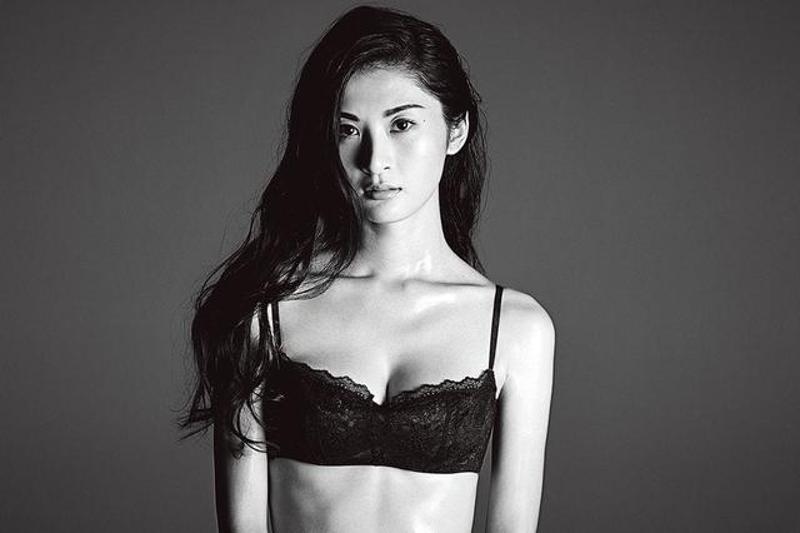 明星繭,小巷深處的隱秘瑰寶