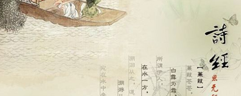 詩經新視角,自然美景的心靈之旅探索