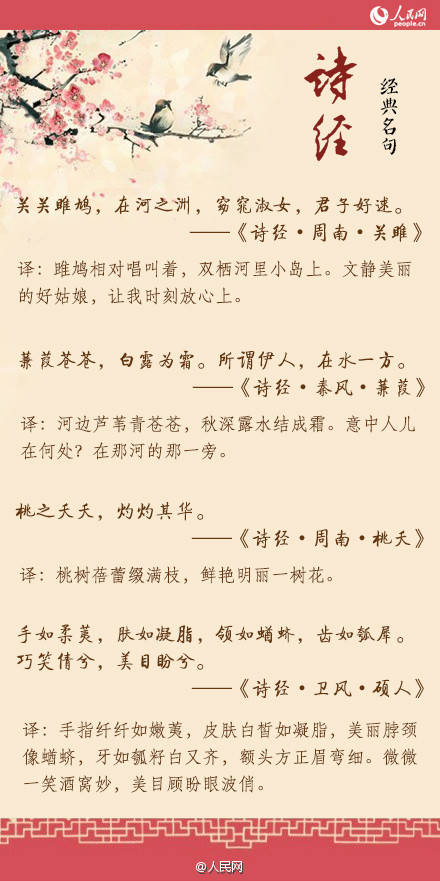 詩經新視角,自然美景的心靈之旅探索