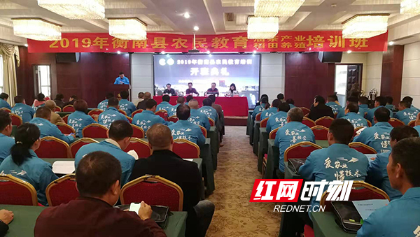 衡南縣新聞網(wǎng)最新資訊，擁抱自然，啟程尋找內(nèi)心寧靜之旅