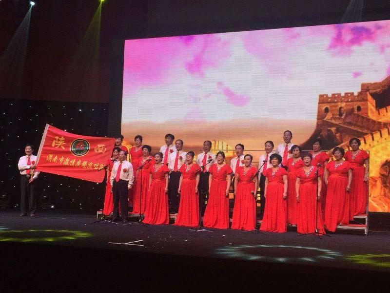 全國(guó)廣場(chǎng)舞比賽金獎(jiǎng)榮耀時(shí)刻，舞動(dòng)中的輝煌成就！