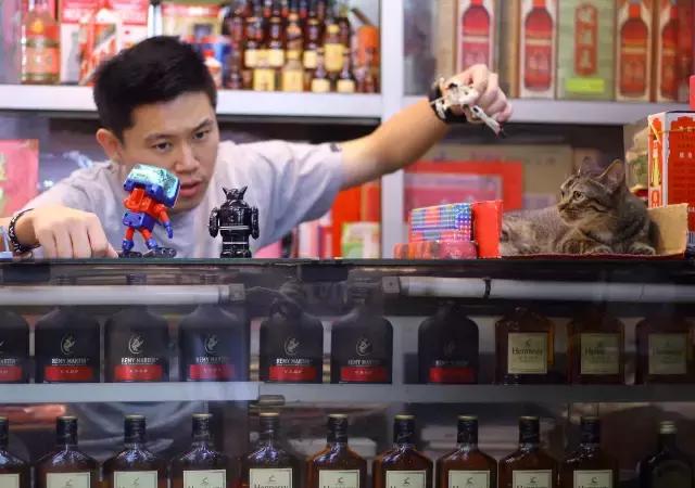 歐陽靖美國說唱比賽，跨文化的音樂盛宴體驗(yàn)與觀察