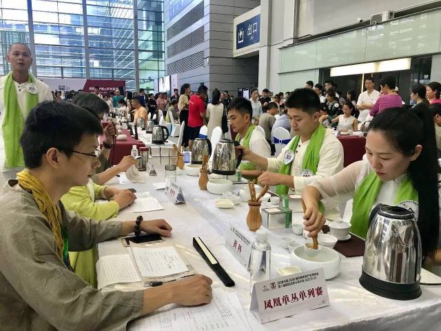 沖茶比賽全程指南與步驟解析