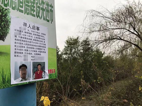 六安海心沙最新房價信息及深度分析