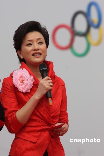 楊瀾最新消息揭秘，小巷深處的獨(dú)特風(fēng)味小店探索