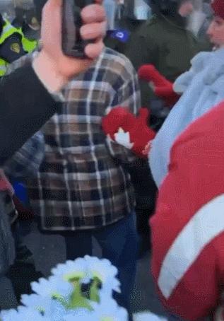 揭秘加拿大最新動態，精彩資訊不容錯過！