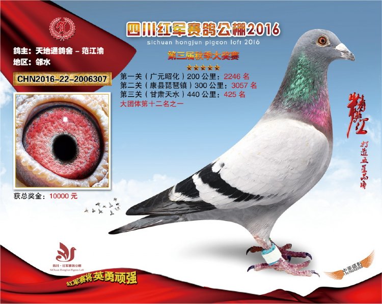 紅軍公棚最新公告解讀與觀點闡述