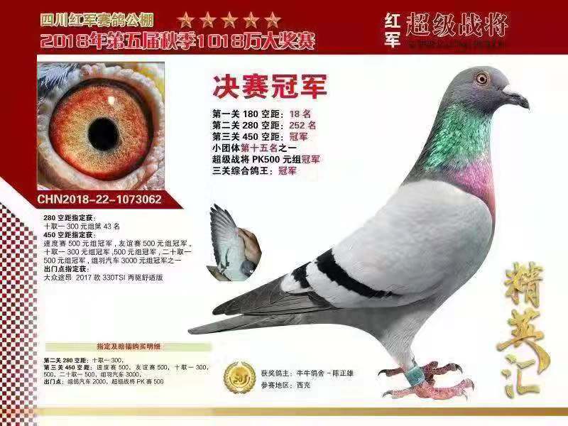 紅軍公棚最新公告解讀與觀點闡述