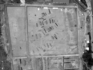 最新棺材新聞,小巷深處的特色小店,棺材藝術(shù)煥發(fā)新生命