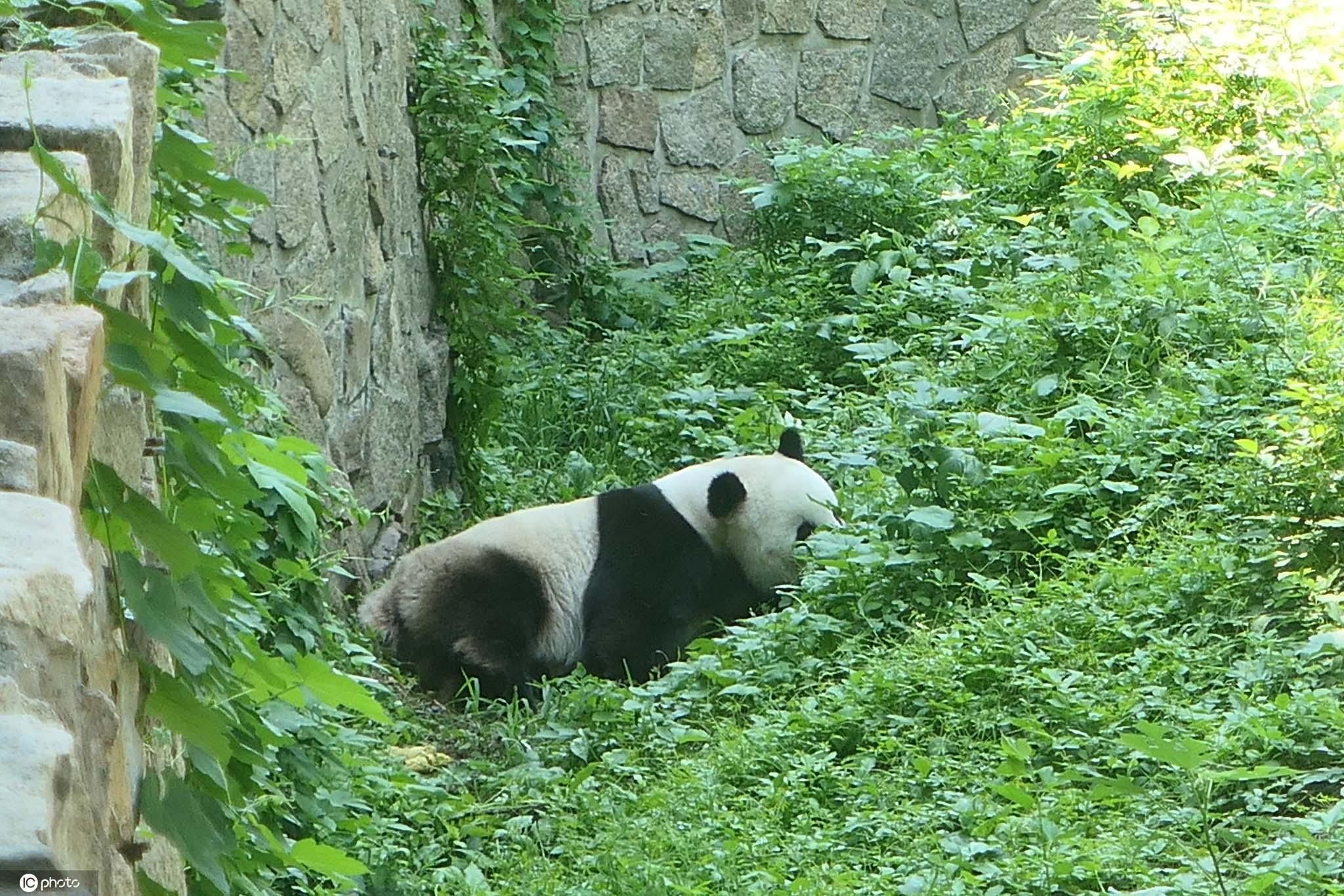 最新躲貓貓游戲,友情與歡樂的碰撞