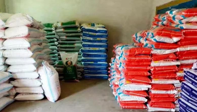 今日尿素行情概覽與深度解析