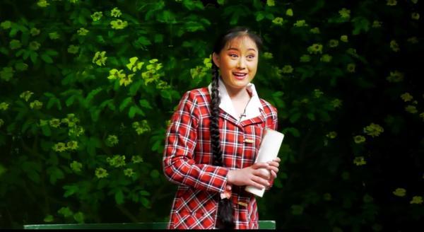 豫劇演員馬琳，璀璨之路，豫劇之光