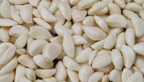 蒜片價格行情更新與小巷獨特風味探秘