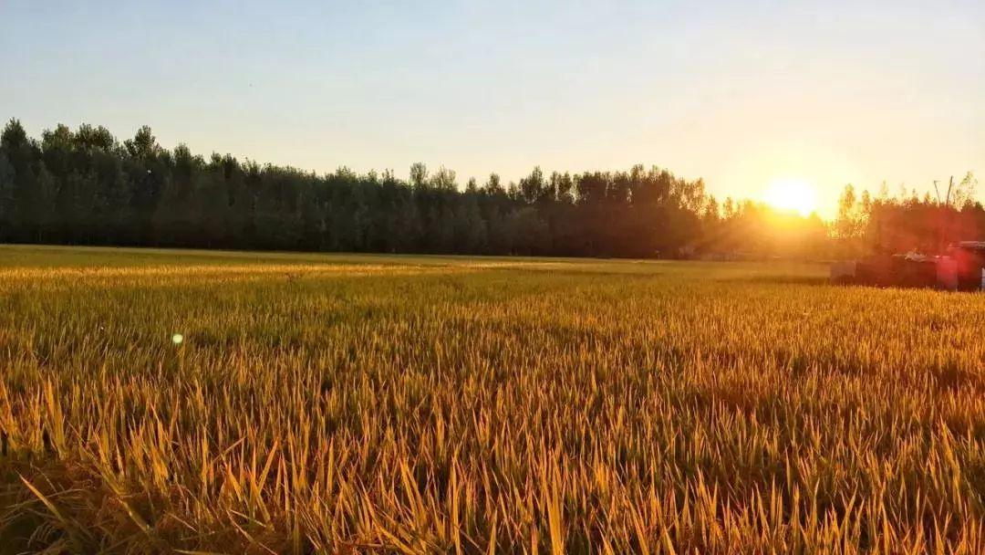 涿州拒馬河規劃圖,多方觀點深度探討