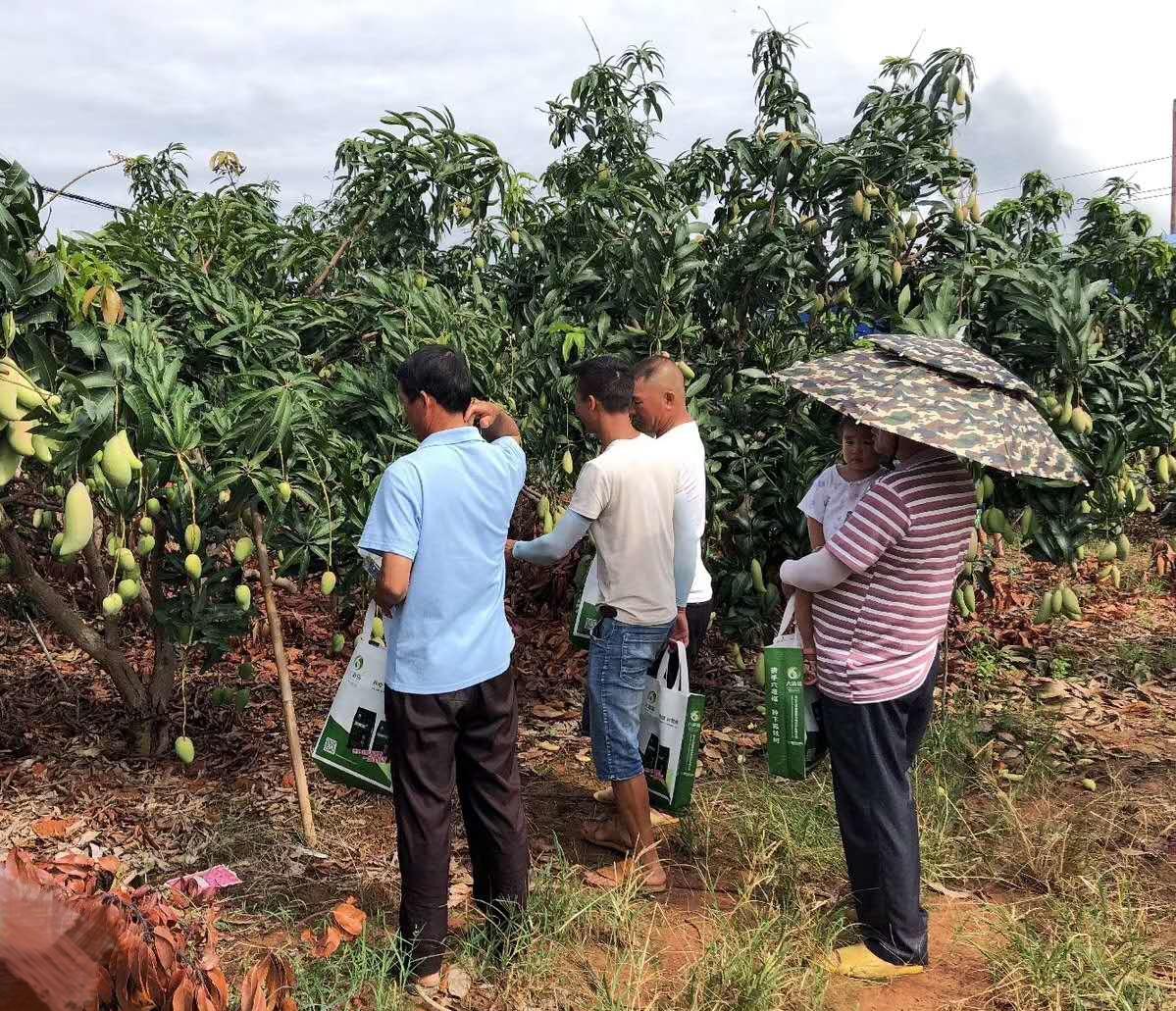 一福上市,背景、歷程、影響及上市時間解析