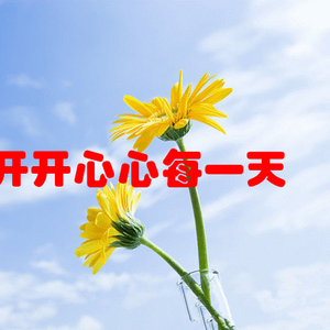 最新動態(tài)圖，變化中的力量與學(xué)習的自信與成就感