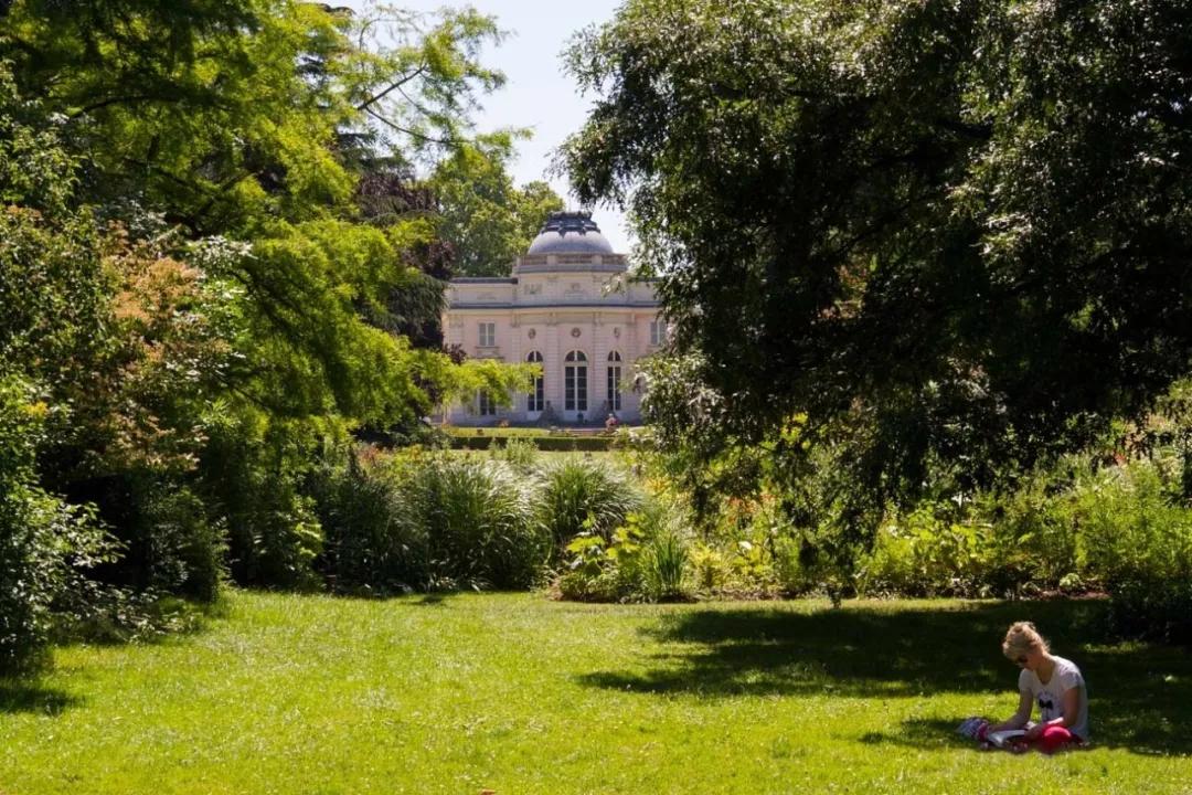 中國大學最新排名榜單，學府秘境與小店的探索之旅