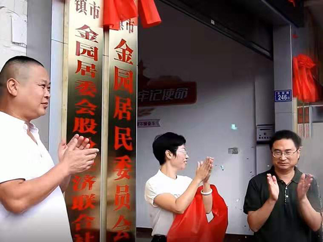 金園股份，高科技領域的璀璨新星——股票投資新選擇