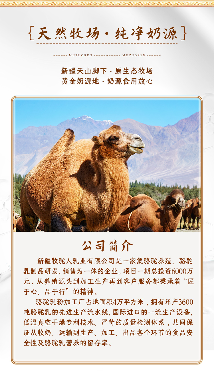 探尋新疆純正駝奶價格,一場價格查詢之旅
