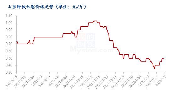 山東洋蔥最新價格行情分析與趨勢預測