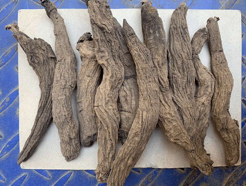 玄參最新行情入門指南，詳解、分析與預(yù)測(cè)