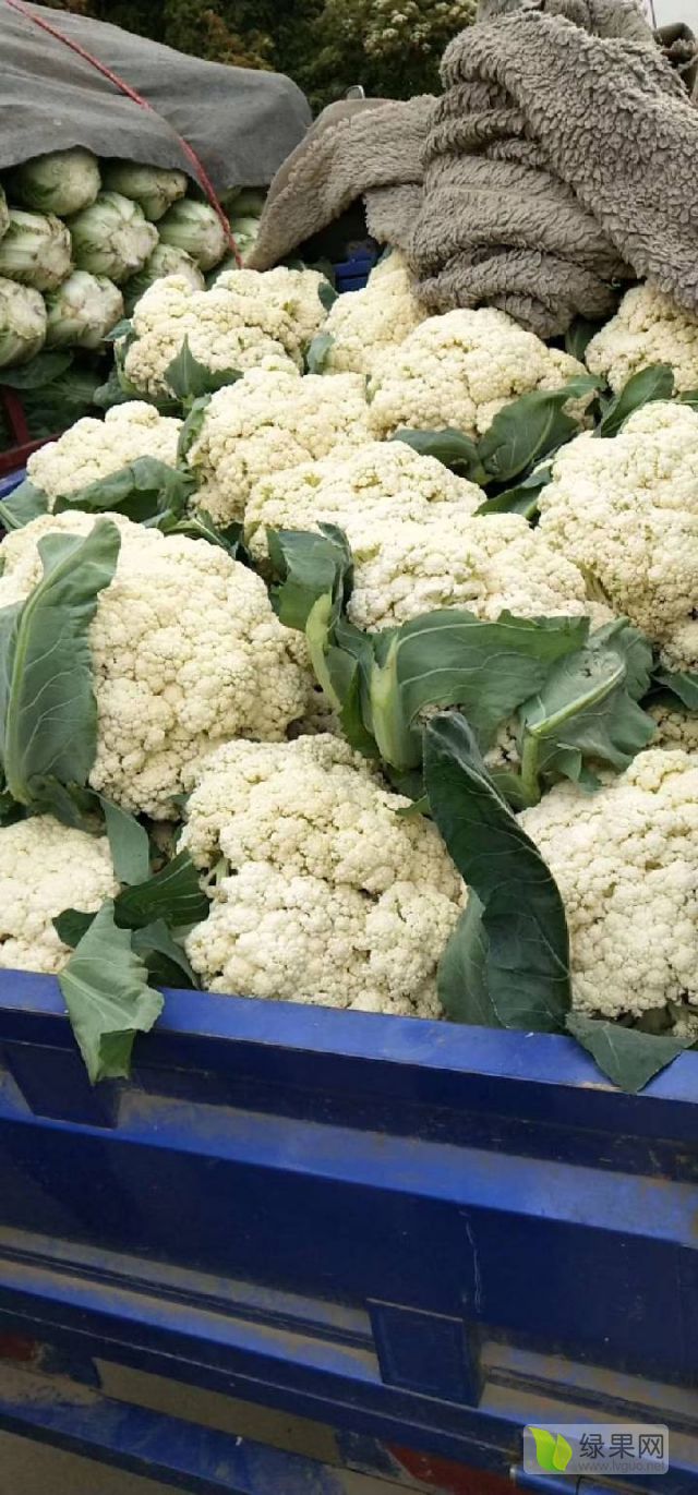 2017年有機菜花市場行情概覽