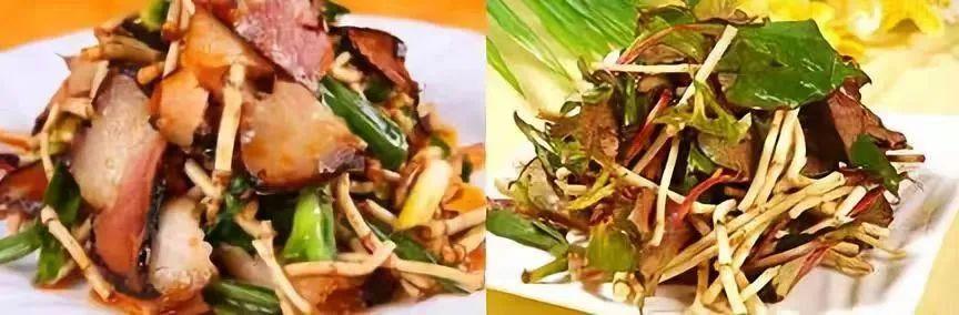 今年流行涼菜盤點，夏日餐桌上的美味與溫情故事