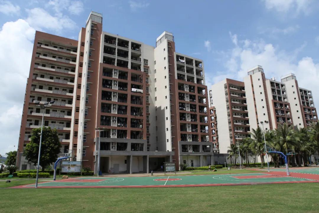 南康普工招聘信息詳解,崗位、要求與觀點論述