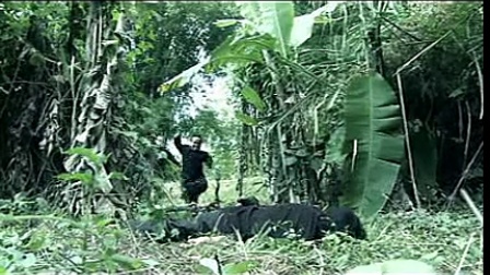 最新苗族驚悚片，深度探索背景、事件與地位