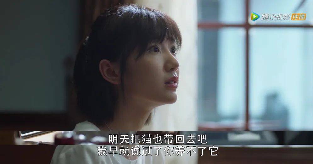 無(wú)女主兄弟情深日常故事，一部電視劇的純粹兄弟情展現(xiàn)