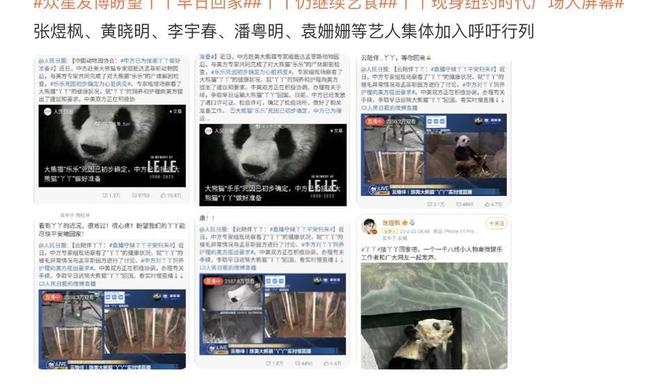 丫丫歸國最新消息及步驟指南